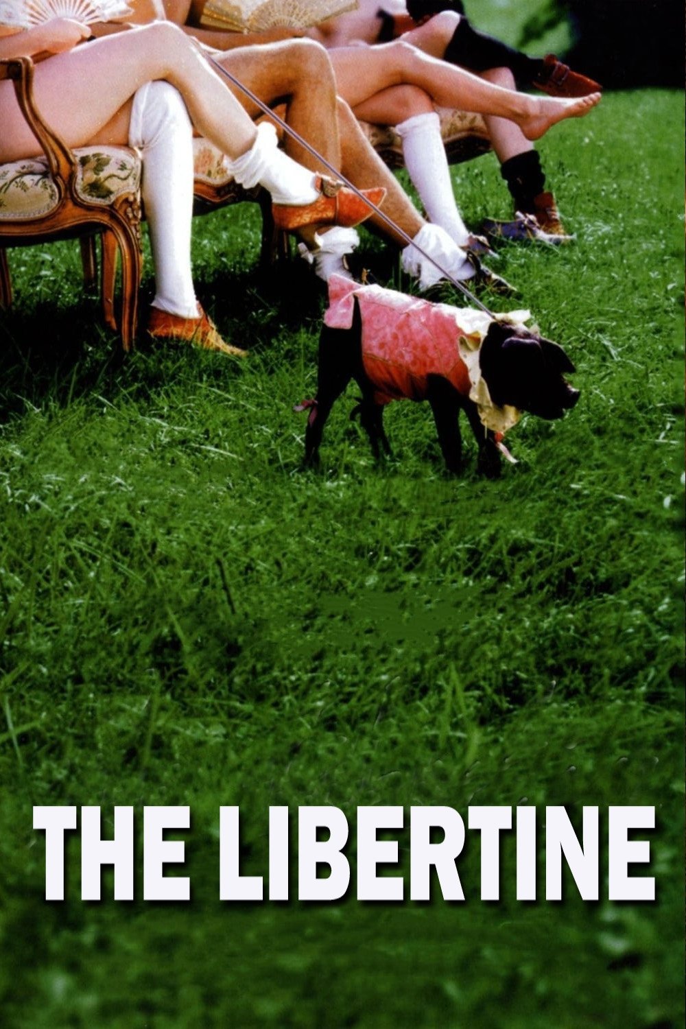 Постер Le Libertin